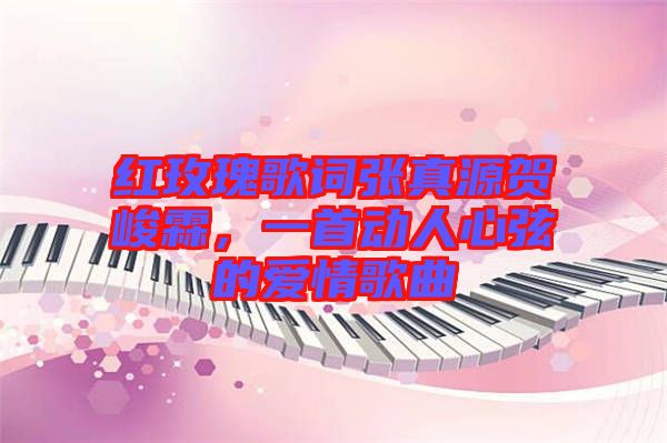 紅玫瑰歌詞張真源賀峻霖，一首動人心弦的愛情歌曲