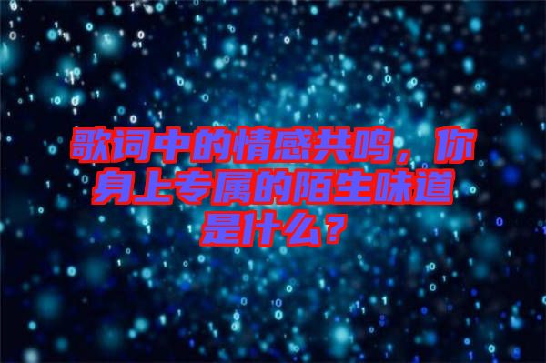 歌詞中的情感共鳴，你身上專屬的陌生味道是什么？