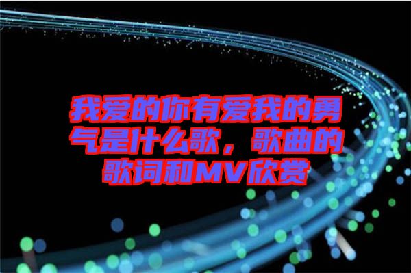 我愛的你有愛我的勇氣是什么歌，歌曲的歌詞和MV欣賞