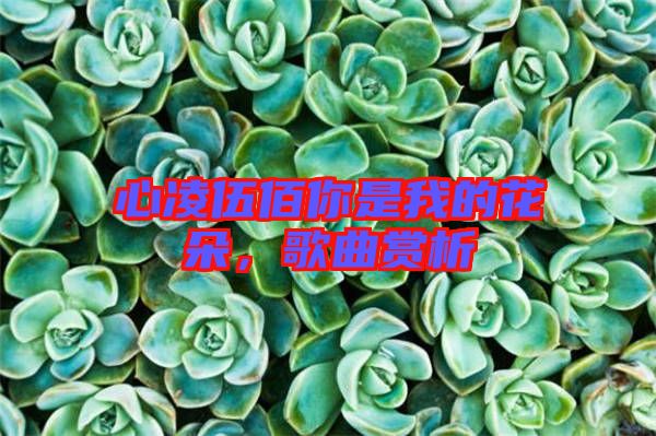 心凌伍佰你是我的花朵，歌曲賞析