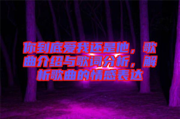 你到底愛我還是他，歌曲介紹與歌詞分析，解析歌曲的情感表達(dá)
