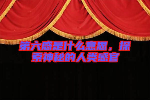 第六感是什么意思，探索神秘的人類感官