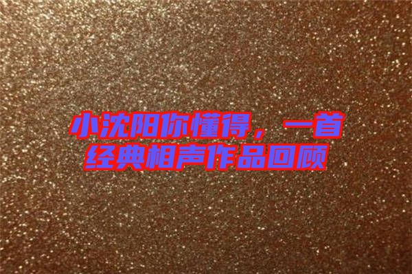 小沈陽你懂得，一首經(jīng)典相聲作品回顧