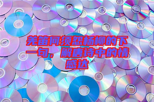 羌笛何須怨楊柳的下一句，解唐詩中的情感達(dá)