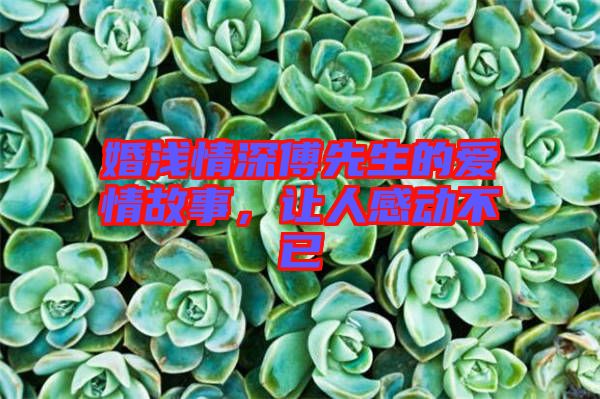 婚淺情深傅先生的愛情故事，讓人感動不已