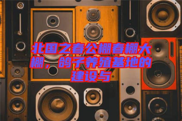 北國之春公棚春棚大棚，鴿子養(yǎng)殖基地的建設與