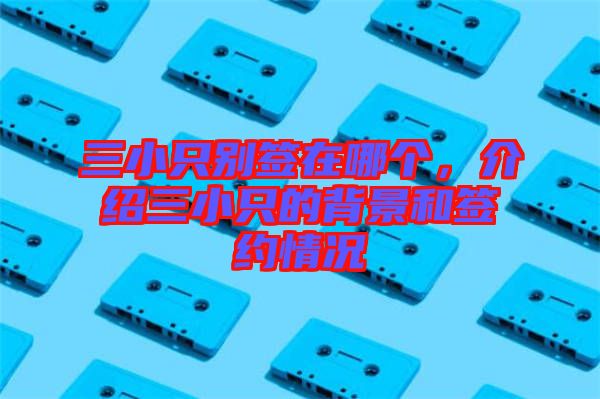 三小只別簽在哪個(gè)，介紹三小只的背景和簽約情況