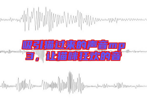 吸引貓過來的聲音mp3，讓貓咪狂歡的音