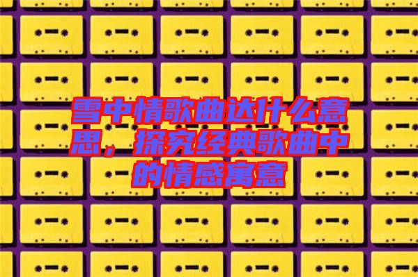 雪中情歌曲達什么意思，探究經(jīng)典歌曲中的情感寓意