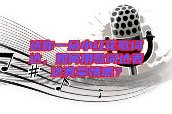 送你一朵小紅花歌詞達(dá)，如何用歌詞達(dá)表達(dá)真摯情感？