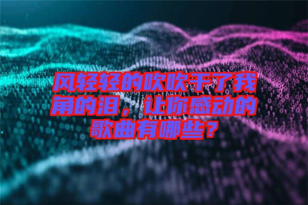 風(fēng)輕輕的吹吹干了我角的淚，讓你感動(dòng)的歌曲有哪些？