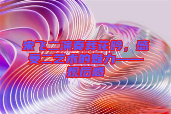 宋飛二演奏葬花吟，感受二藝術(shù)的魅力——觀后感