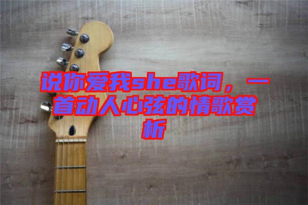 說你愛我she歌詞，一首動(dòng)人心弦的情歌賞析