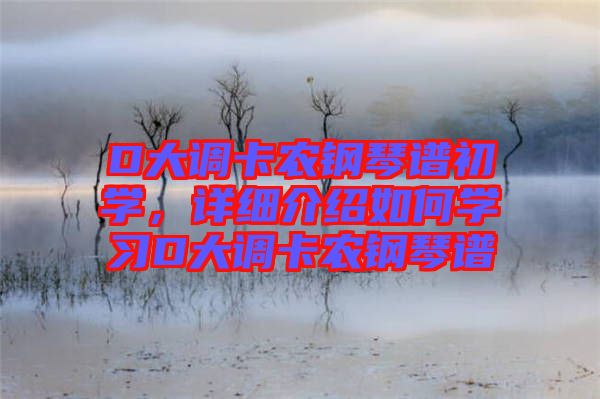 D大調(diào)卡農(nóng)鋼琴譜初學(xué)，詳細(xì)介紹如何學(xué)習(xí)D大調(diào)卡農(nóng)鋼琴譜