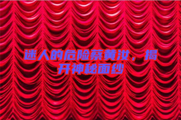 迷人的危險蔡黃汝，揭開神秘面紗