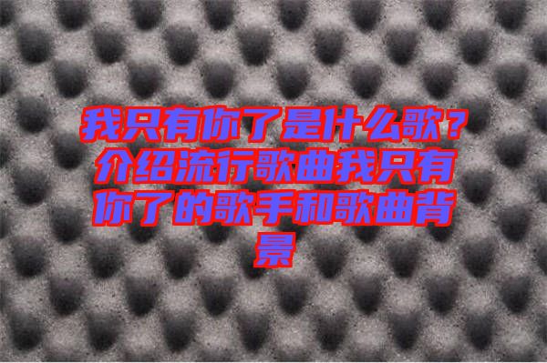 我只有你了是什么歌？介紹流行歌曲我只有你了的歌手和歌曲背景