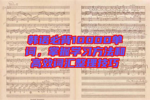 韓語(yǔ)必背10000單詞，掌握學(xué)習(xí)方法和高效詞匯整理技巧