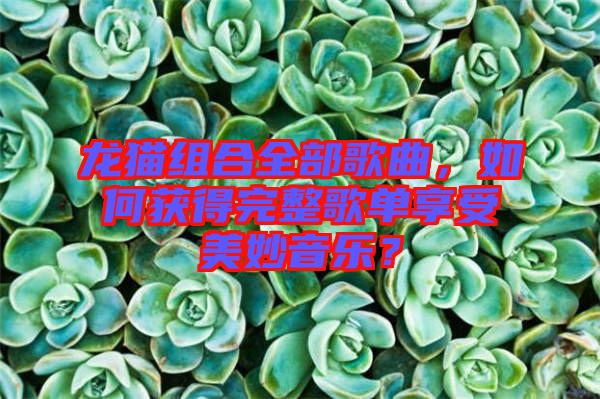 龍貓組合全部歌曲，如何獲得完整歌單享受美妙音樂？