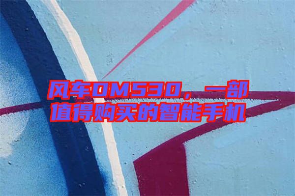 風(fēng)車DM530，一部值得購買的智能手機