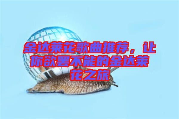 金達(dá)萊花歌曲推薦，讓你欲罷不能的金達(dá)萊花之旅