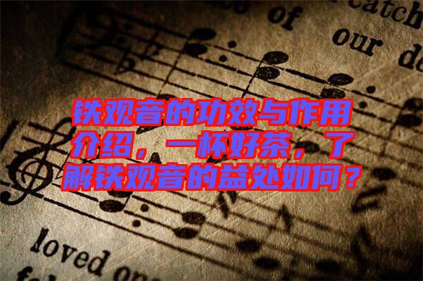 鐵觀音的功效與作用介紹，一杯好茶，了解鐵觀音的益處如何？