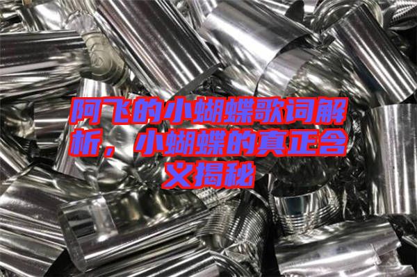 阿飛的小蝴蝶歌詞解析，小蝴蝶的真正含義揭秘