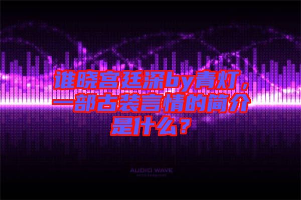 誰曉宮廷深by青燈，一部古裝言情的簡介是什么？