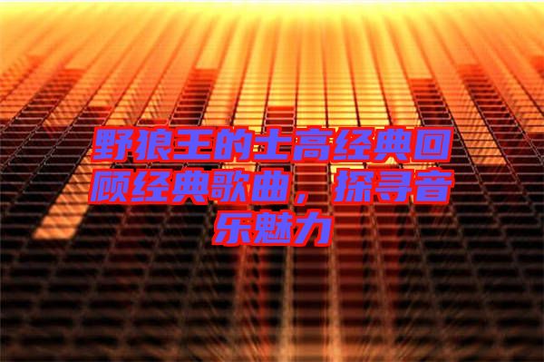 野狼王的士高經(jīng)典回顧經(jīng)典歌曲，探尋音樂魅力