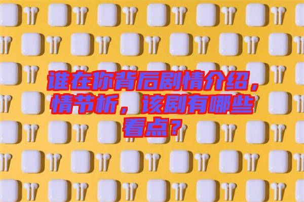 誰(shuí)在你背后劇情介紹，情節(jié)析，該劇有哪些看點(diǎn)？