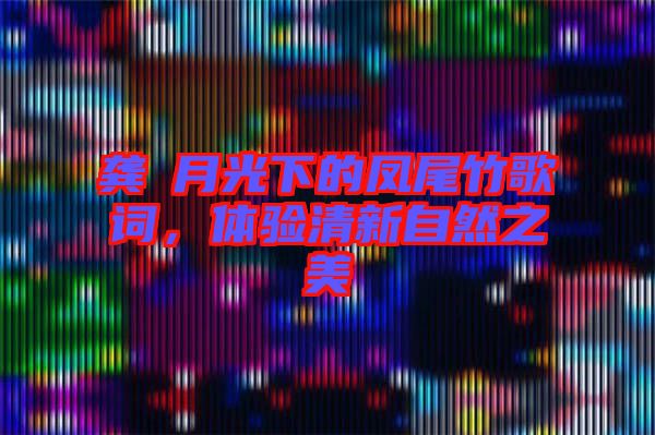 龔玥月光下的鳳尾竹歌詞，體驗清新自然之美
