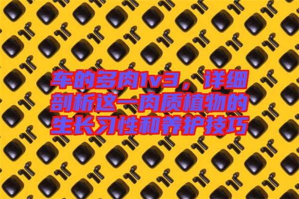 車的多肉1v3，詳細(xì)剖析這一肉質(zhì)植物的生長習(xí)性和養(yǎng)護(hù)技巧