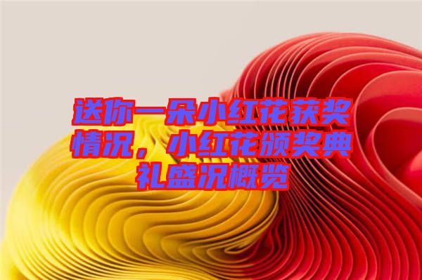 送你一朵小紅花獲獎情況，小紅花頒獎典禮盛況概覽
