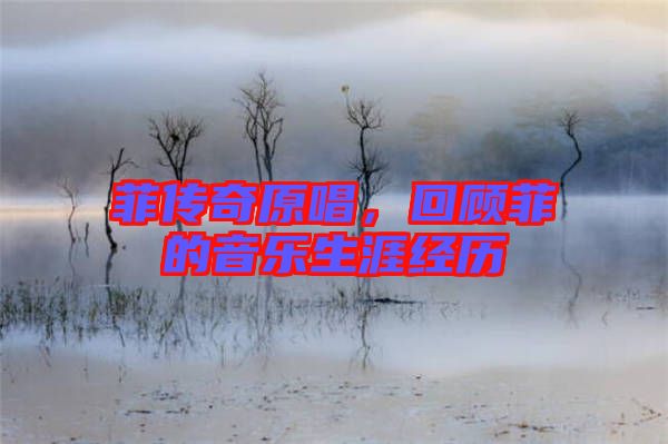 菲傳奇原唱，回顧菲的音樂生涯經(jīng)歷