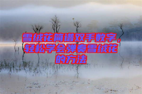 雪絨花簡譜雙手數(shù)字，輕松學(xué)會彈奏雪絨花的方法