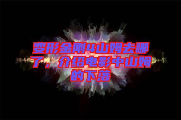 變形金剛4山姆去哪了，介紹電影中山姆的下落