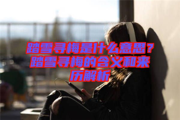 踏雪尋梅是什么意思？踏雪尋梅的含義和來歷解析