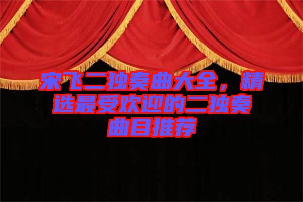 宋飛二獨(dú)奏曲大全，精選最受歡迎的二獨(dú)奏曲目推薦