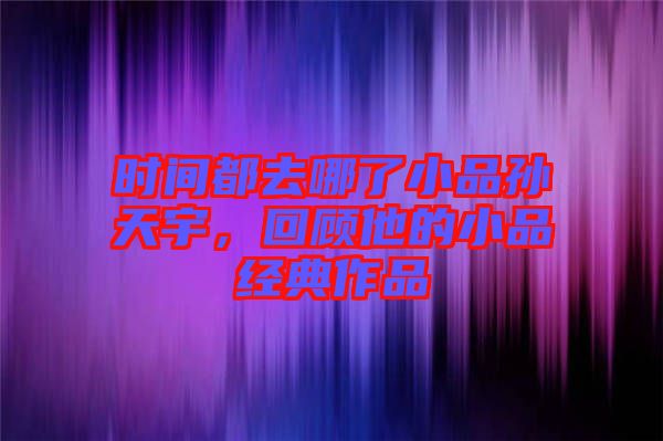 時間都去哪了小品孫天宇，回顧他的小品經(jīng)典作品