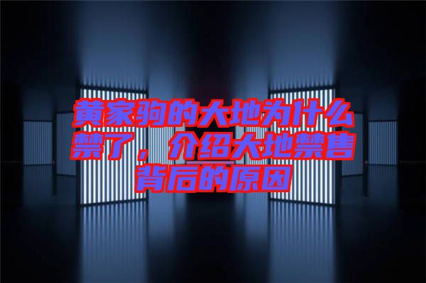 黃家駒的大地為什么禁了，介紹大地禁售背后的原因