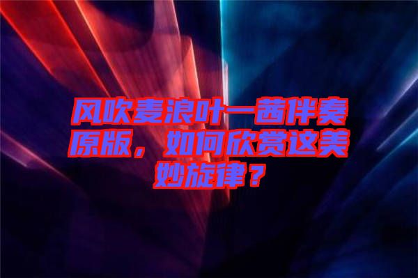 風(fēng)吹麥浪葉一茜伴奏原版，如何欣賞這美妙旋律？