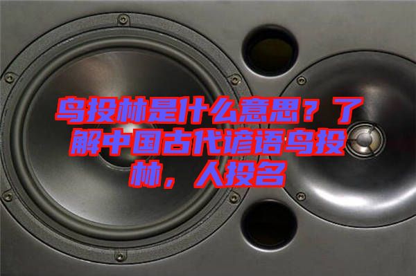 鳥投林是什么意思？了解中國古代諺語鳥投林，人投名