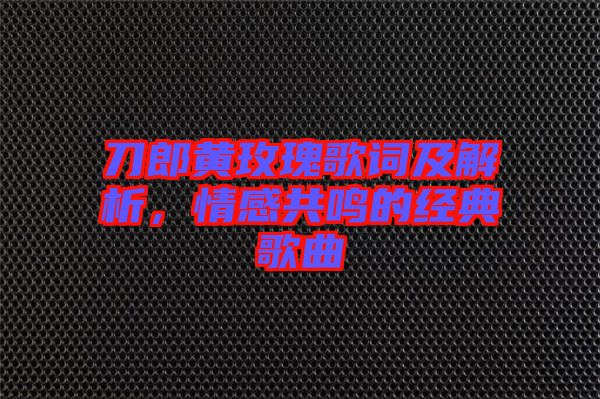 刀郎黃玫瑰歌詞及解析，情感共鳴的經(jīng)典歌曲