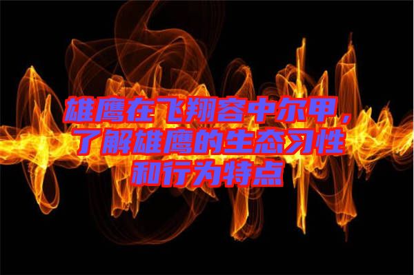 雄鷹在飛翔容中爾甲，了解雄鷹的生態(tài)習(xí)性和行為特點(diǎn)