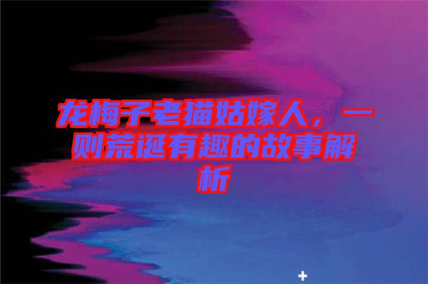 龍梅子老貓姑嫁人，一則荒誕有趣的故事解析