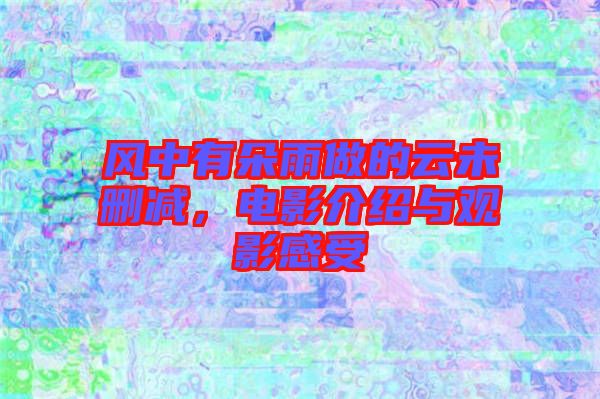 風(fēng)中有朵雨做的云未刪減，電影介紹與觀影感受