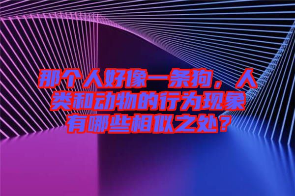 那個(gè)人好像一條狗，人類和動(dòng)物的行為現(xiàn)象有哪些相似之處？