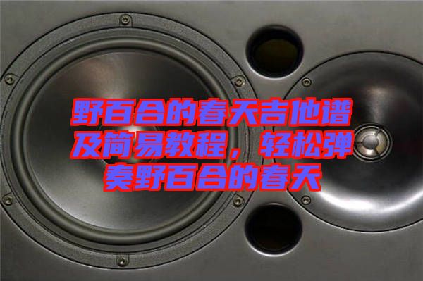 野百合的春天吉他譜及簡(jiǎn)易教程，輕松彈奏野百合的春天