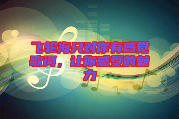 飛輪海只對你有感覺歌詞，讓你感受的魅力