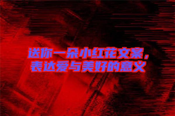 送你一朵小紅花文案，表達(dá)愛(ài)與美好的意義