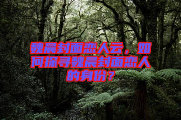 魏晨封面戀人云，如何探尋魏晨封面戀人的身份？